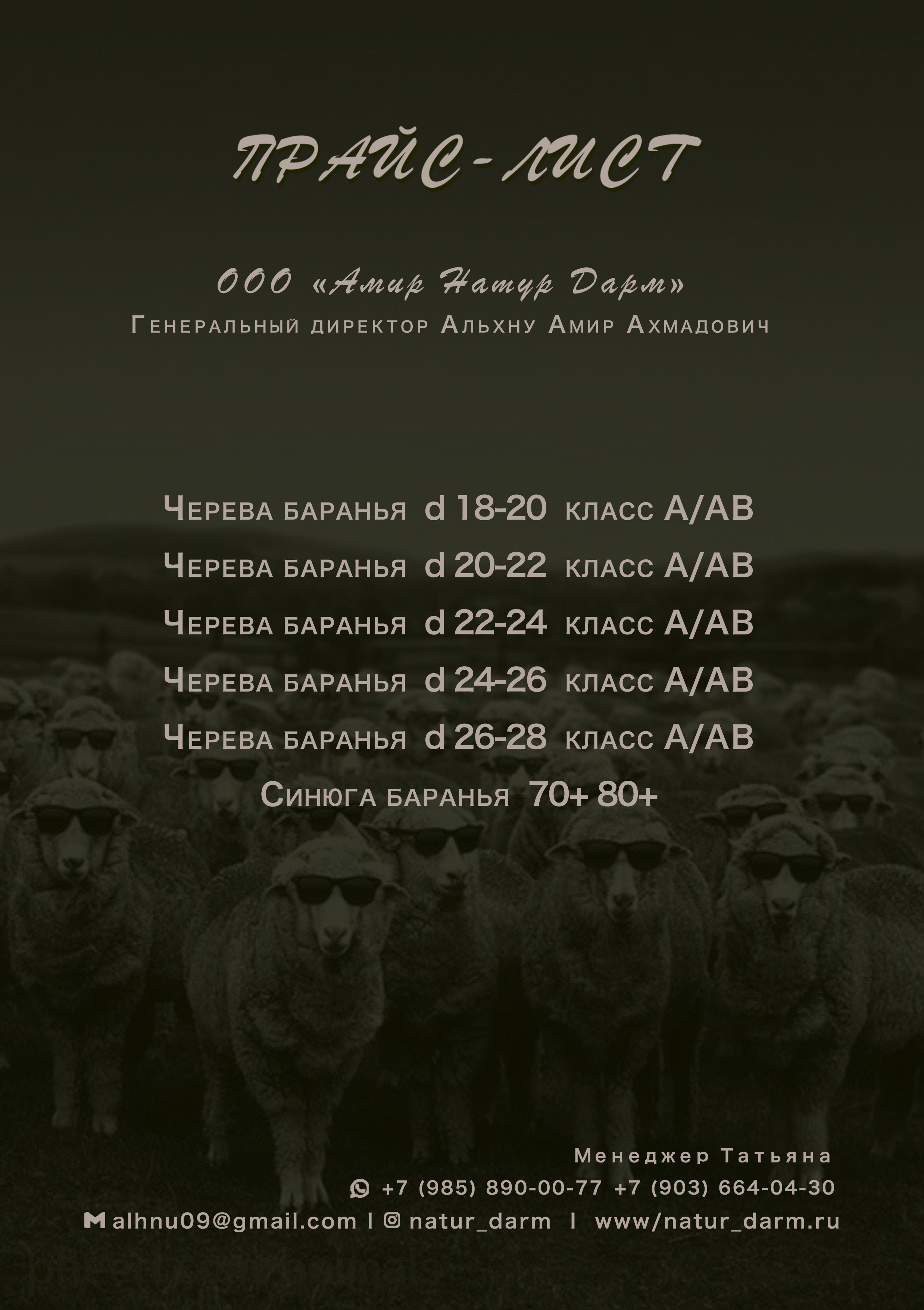 Прайс-лист на экране смартфона